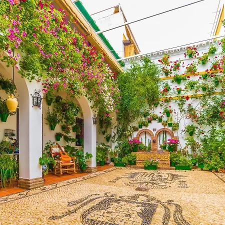 Modernos En Ciudad Jardin Cordoba